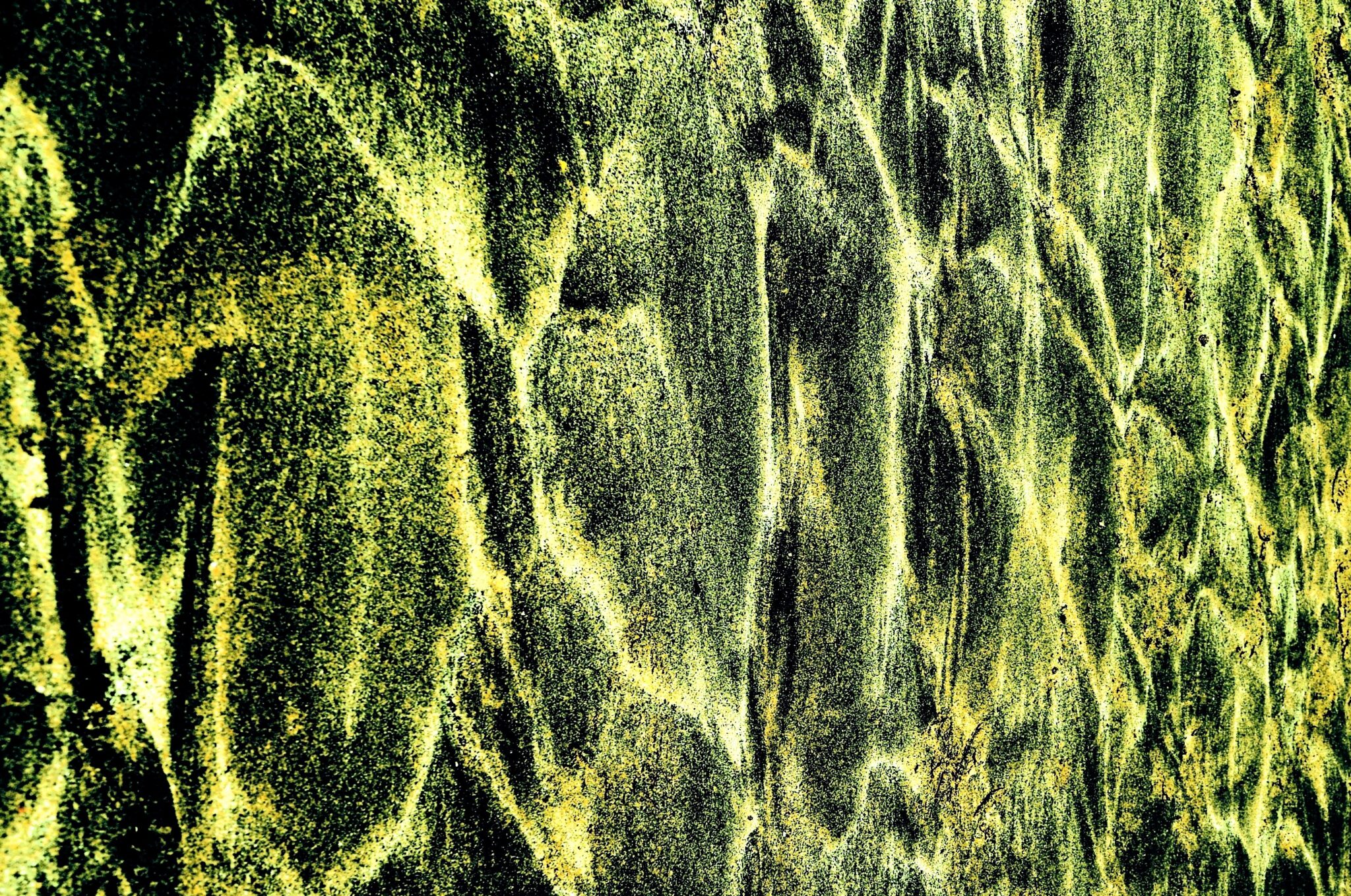 Burnished Sand Disability Arts Online