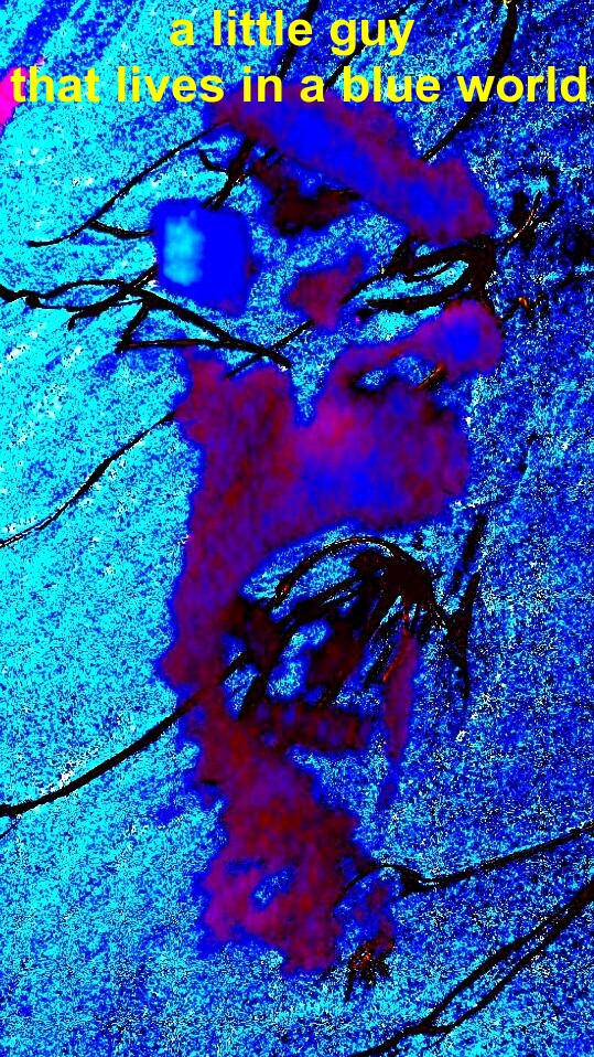 The Blue Series