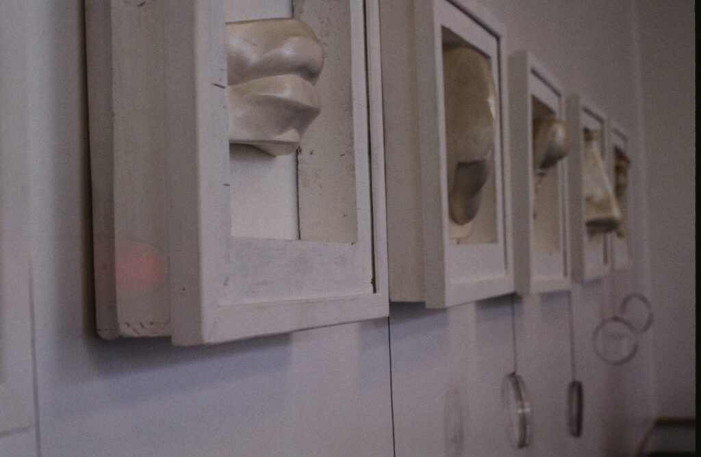 A row of plaster cast facial features - mouth, nose etc. - each in its own white frame, arranged in a horizontal line on a wall. Small magnifying glasses hang from the bottom of each frame.