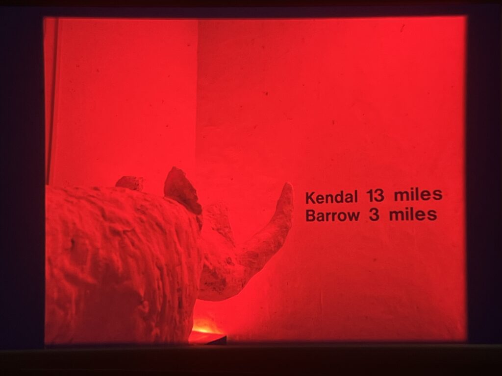 A plaster sculpture of a rhino, facing a wall which has text: Kendal 13 miles, Barrow 3 miles. The room is bathed in red light