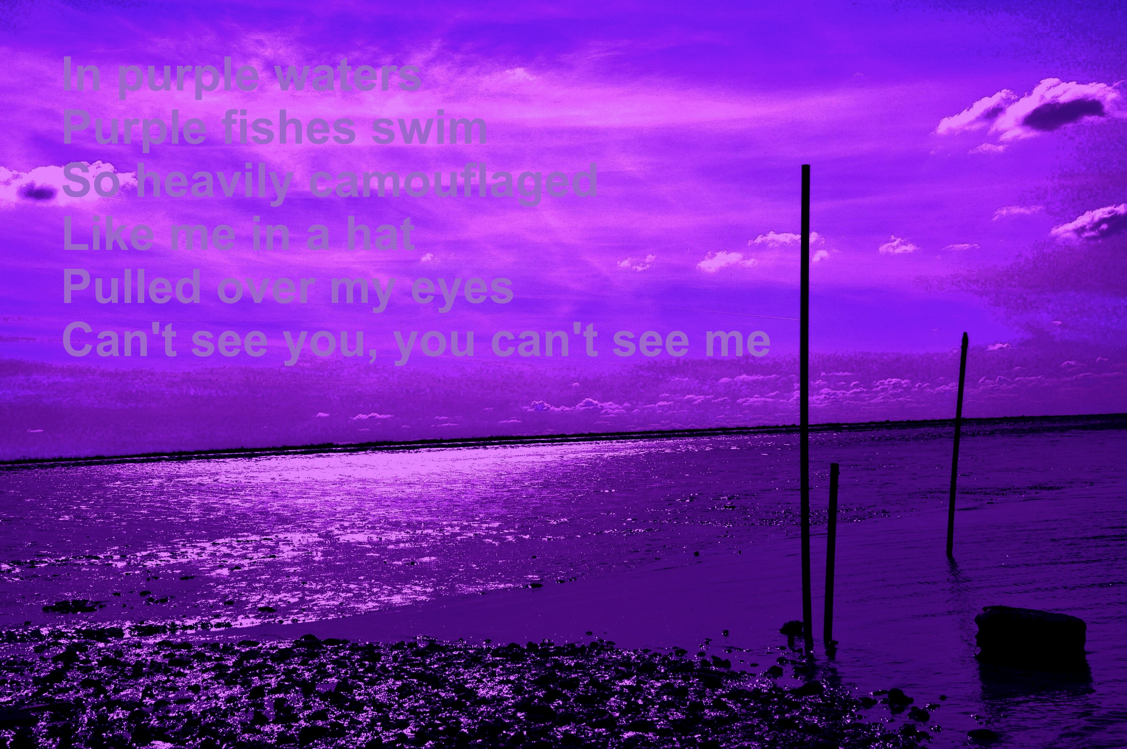 The Same Old Voice + 5 photos with text