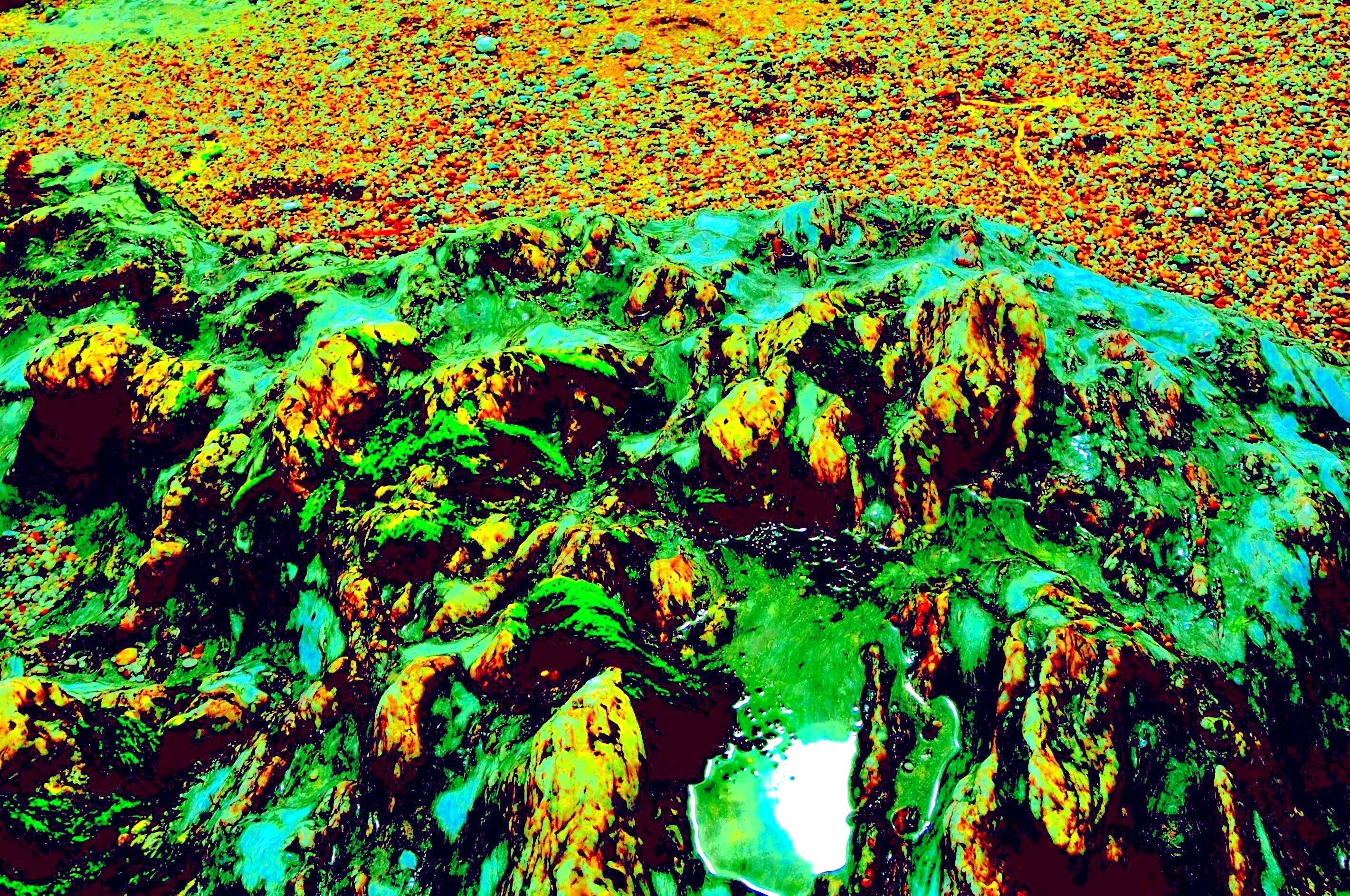 The Box + #WeShallNotBeRemoved + Green Blue Rock Red Sand (Photo)