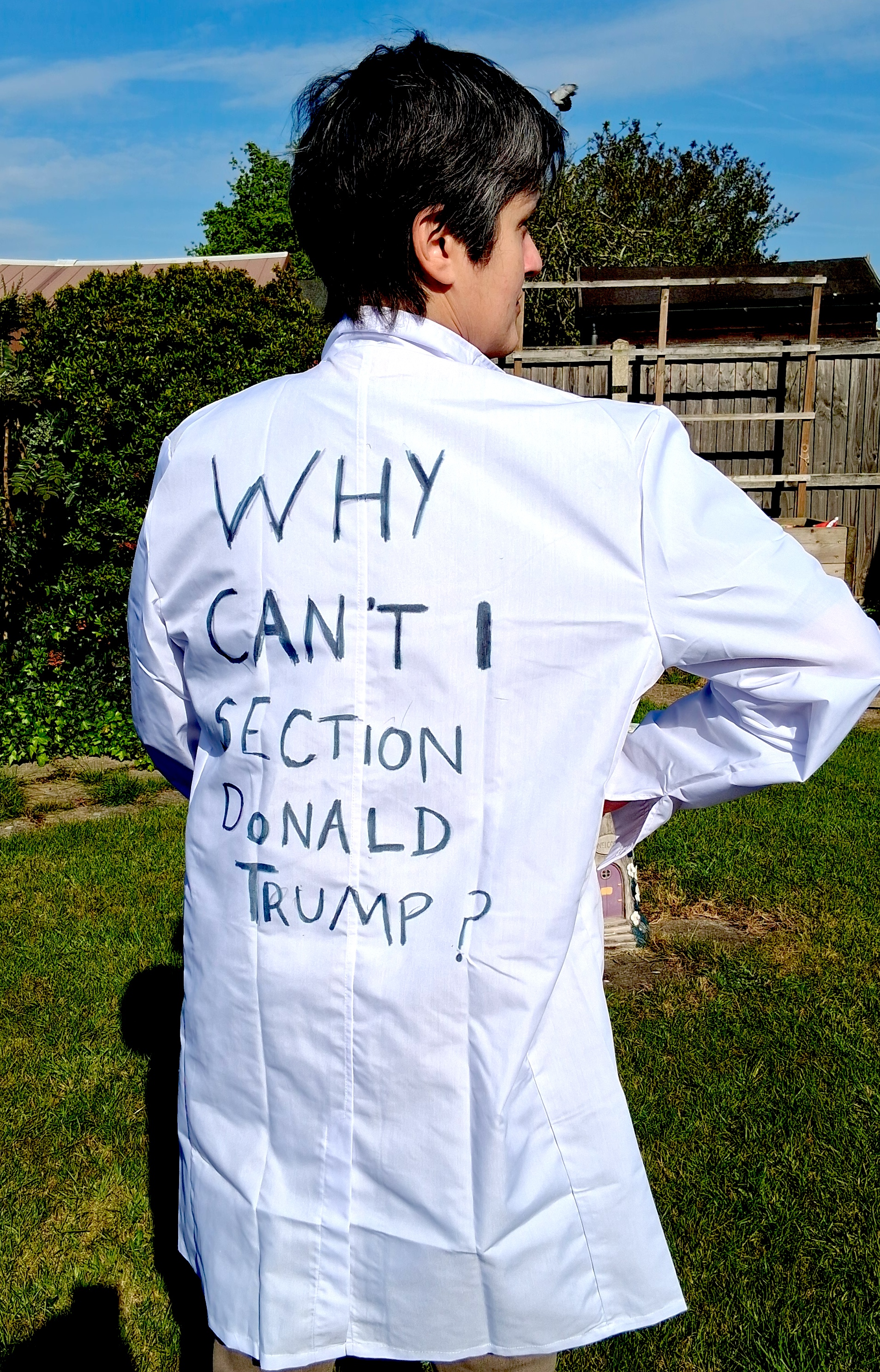Comment on Why Can’t I Section Donald Trump? by Barbara Hulme